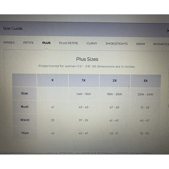 Talbots Womens Top Gray White Striped Floral Embroidered V-Neck Boho 1X Petite - Picture 12 of 13